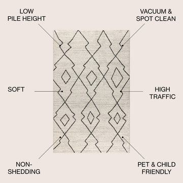 Alia Moroccan Beni Souk Area Rug
